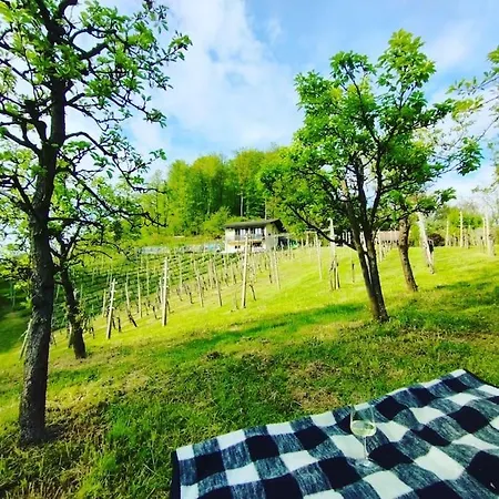 Mini Hiska V Objemu Vinograda Сasa de vacaciones Pristava pri Mestinju