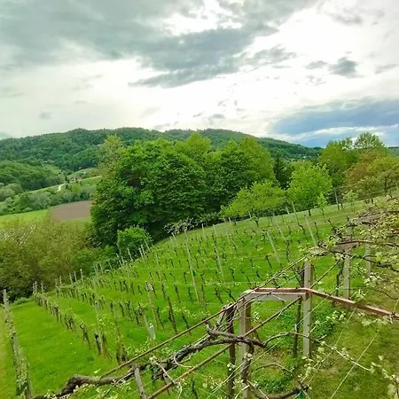 Mini Hiska V Objemu Vinograda Pristava pri Mestinju