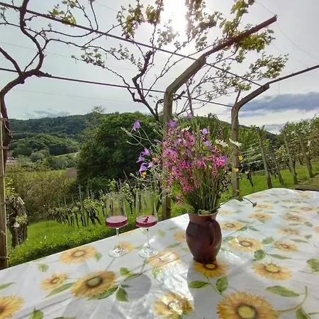 Mini Hiska V Objemu Vinograda Holiday home *