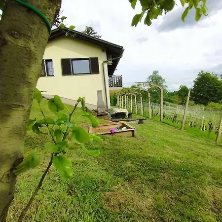 Mini Hiska V Objemu Vinograda *