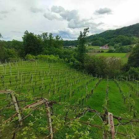 Mini Hiska V Objemu Vinograda 펜션 *