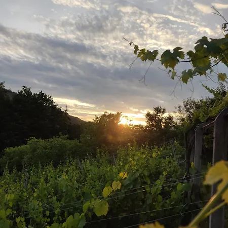 Mini Hiska V Objemu Vinograda Сasa de vacaciones Pristava pri Mestinju