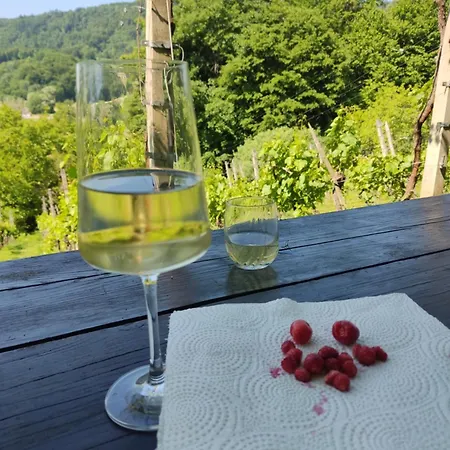 Mini Hiska V Objemu Vinograda * Pristava pri Mestinju