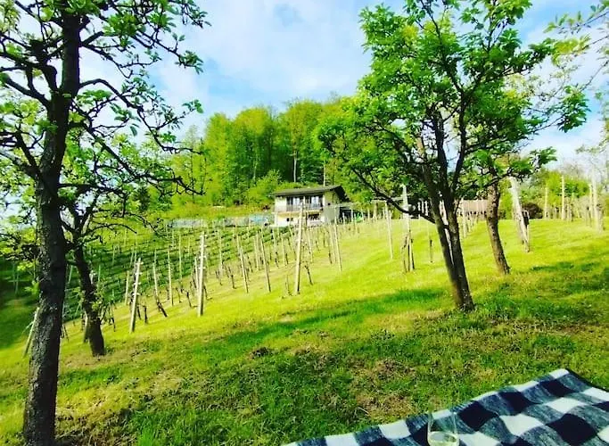 Mini Hiska V Objemu Vinograda 別荘 Pristava pri Mestinju