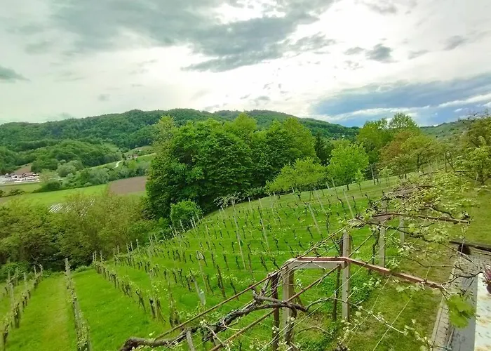Mini Hiska V Objemu Vinograda Pristava pri Mestinju