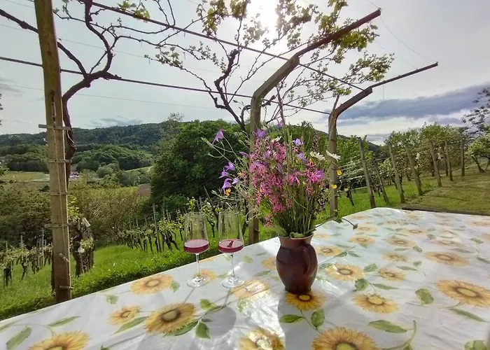 Mini Hiska V Objemu Vinograda Prázdninový dům *