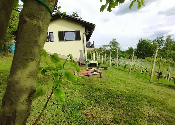 Mini Hiska V Objemu Vinograda *