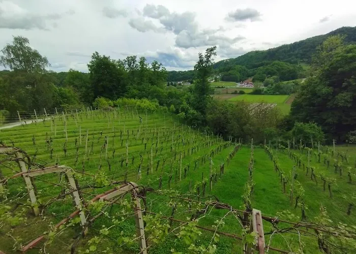 Mini Hiska V Objemu Vinograda 펜션 *