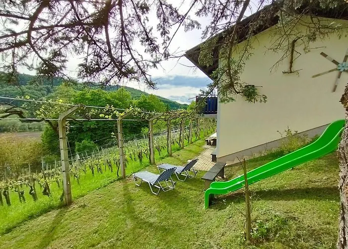 Mini Hiska V Objemu Vinograda